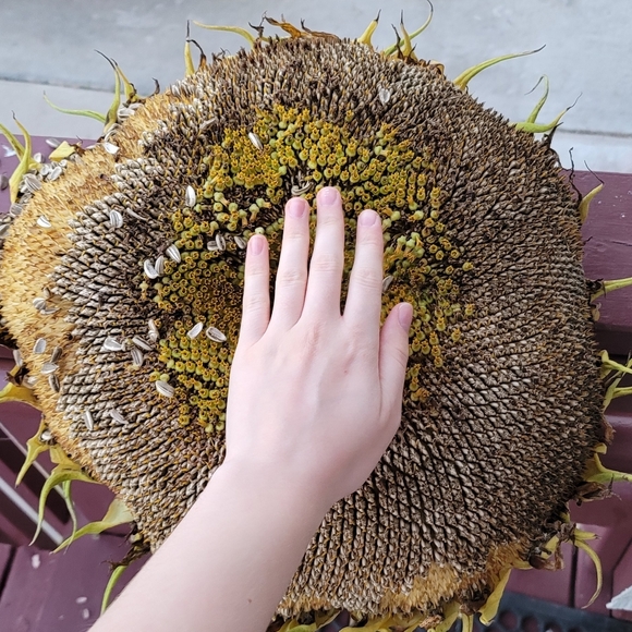 Hi! Check me out! - Picture 8 of 11